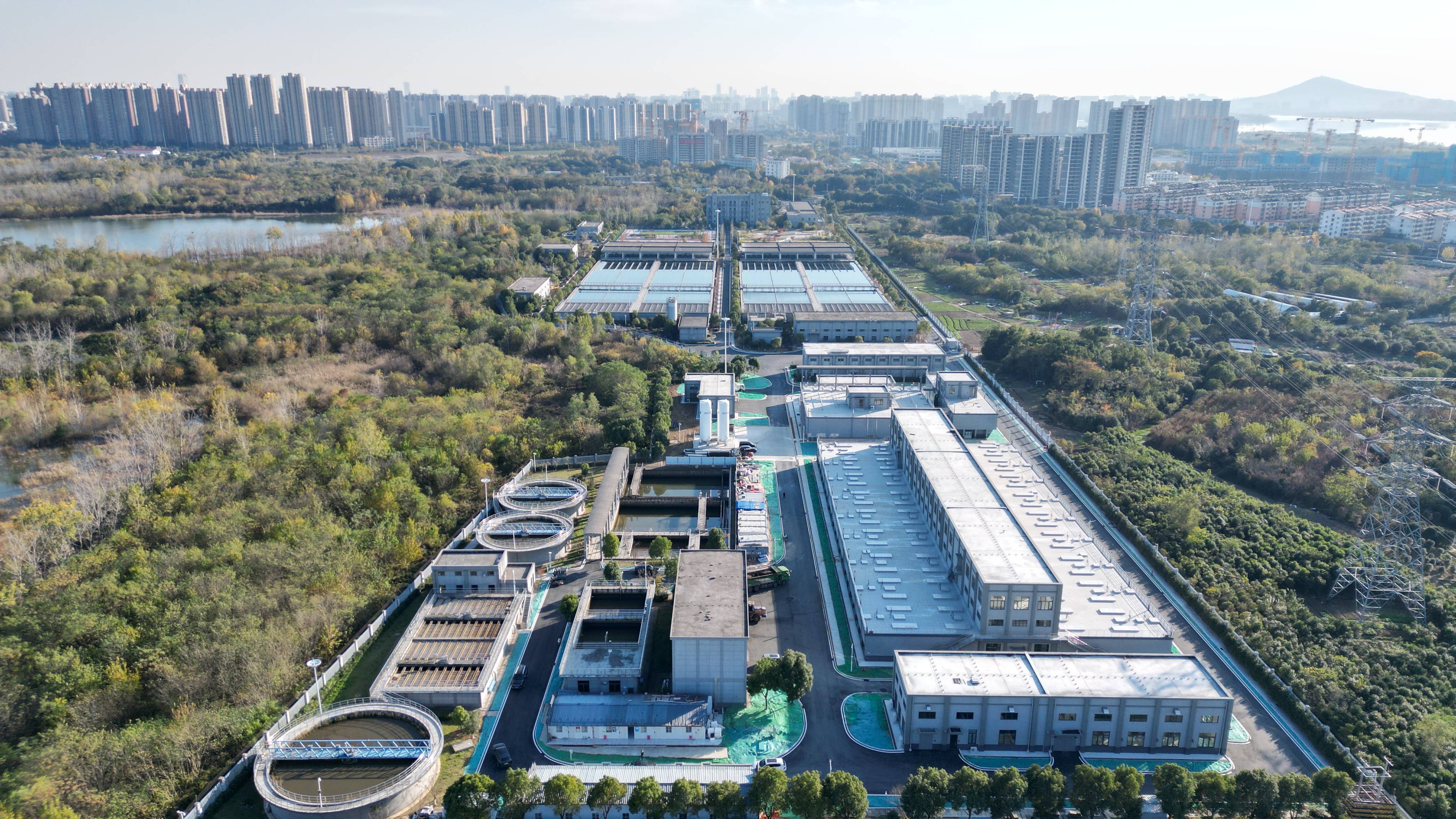 聊城市合肥专业企业价值增长(合肥市重点企业产业目录)