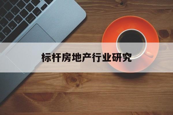聊城市标杆房地产行业研究(房地产领域的标杆人物)