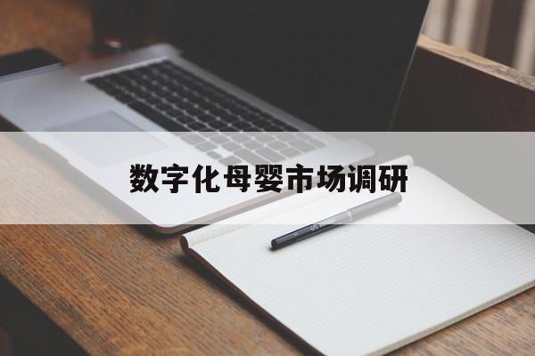 聊城市数字化母婴市场调研(数字化母婴市场调研报告)
