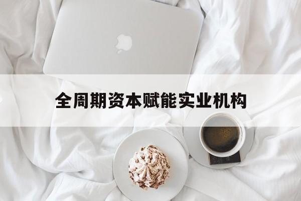 聊城市全周期资本赋能实业机构(全周期管理)